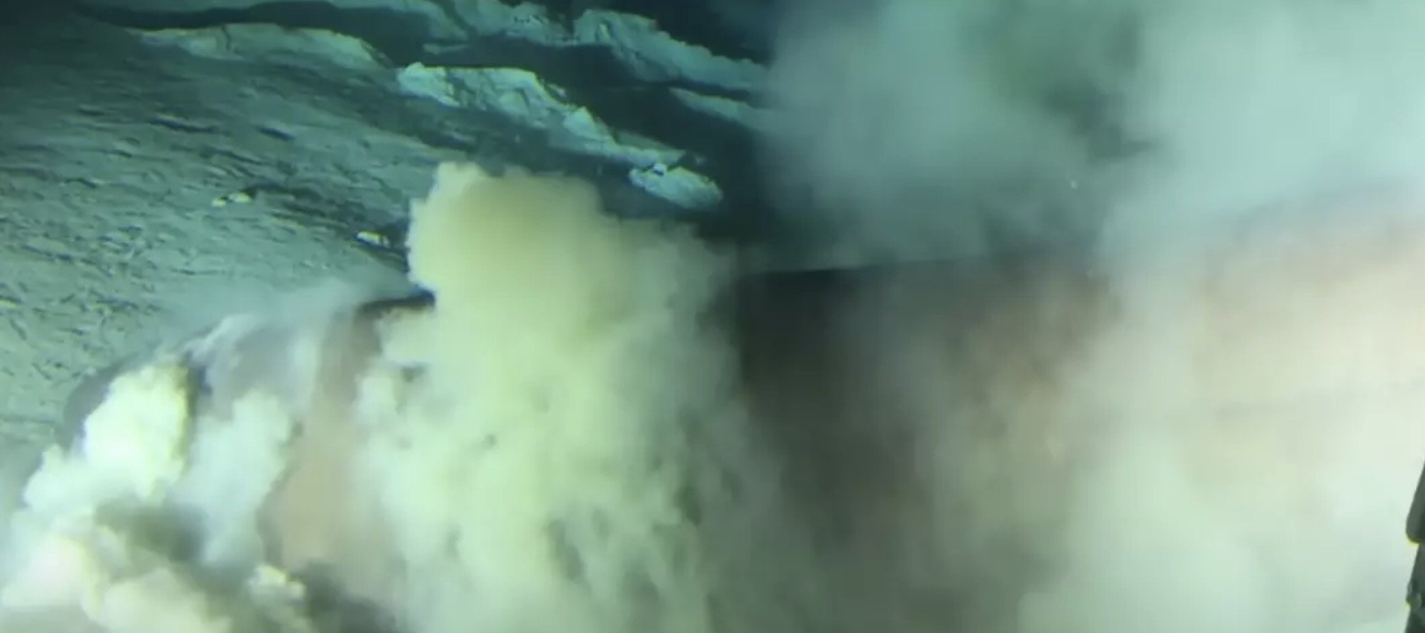 Olho “quase humano” de tubarão pré-histórico surpreende cientistas durante marcação inédita em submersível - Imagem do artigo original