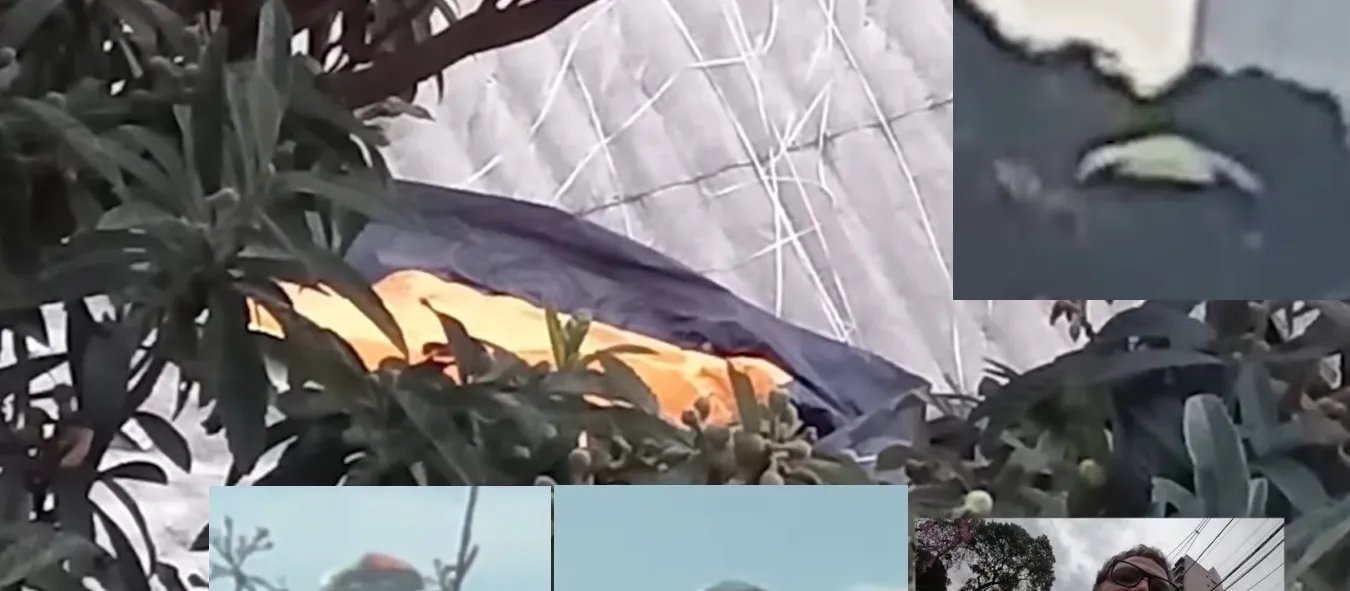Paraquedas de balão encerra especulação sobre o “OVNI do Sacomã” após investigação de campo 1 Paraquedas de balão encerra especulação sobre o “OVNI do Sacomã” após investigação de campo - Imagem do artigo original
