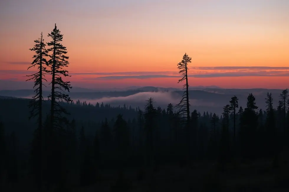Imagem da natureza rústica da Sibéria, evocando mistérios.
